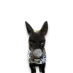 Blue & White Talavera Dog Statue | Handmade Ceramic Art Talavera Figurine La Vie Bien Blue & White Talavera Dog Statue | Handmade Ceramic Art