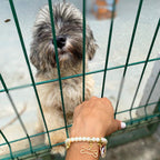 Bone gold charm by Alegria Accessories Inc