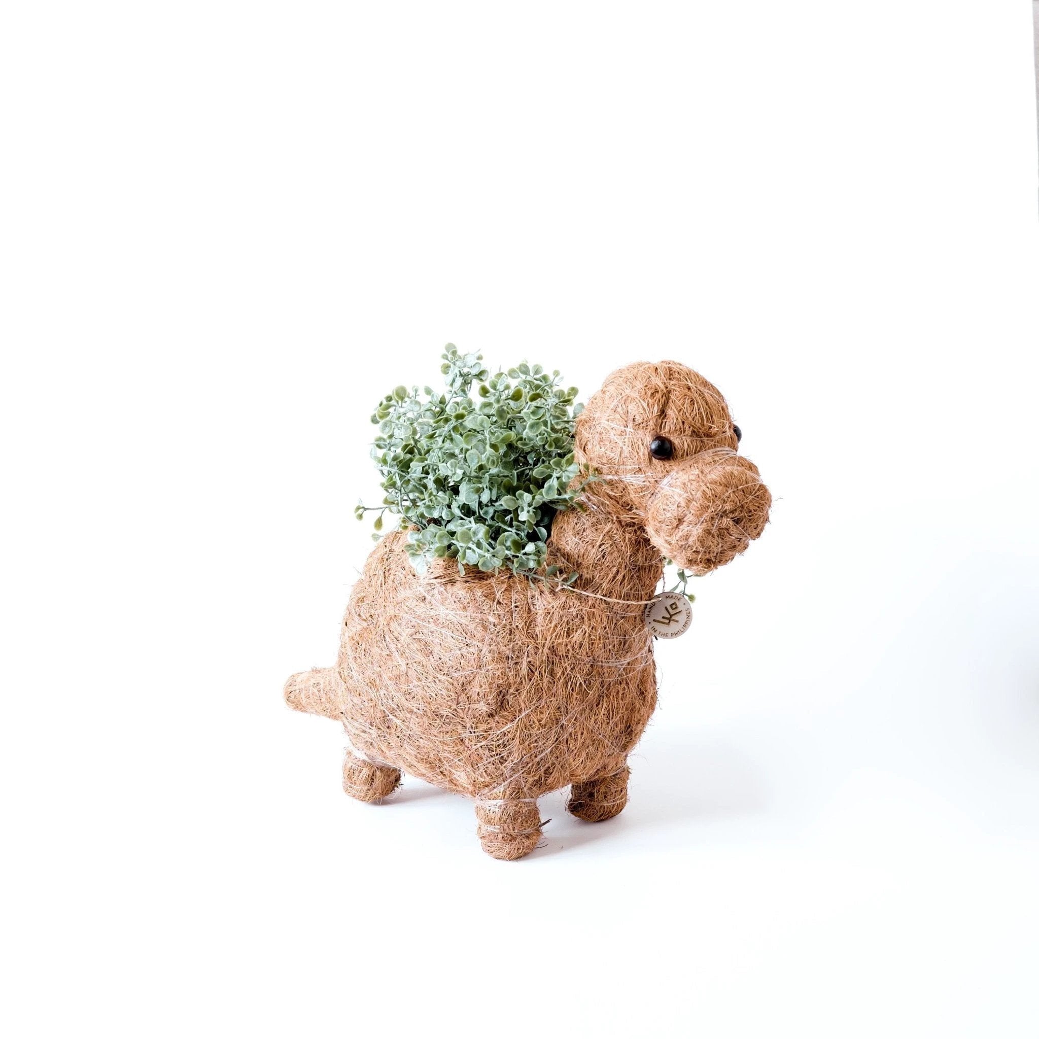 Brontosaurus Planter - Coco Coir Pots | LIKHÂ by LIKHÂ
