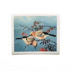 Bundle of 3 Swedish Dishcloths | Nest, Feathers, Jay Birds Swedish Dishcloths La Vie Bien Bundle of 3 Swedish Dishcloths | Nest, Feathers, Jay Birds