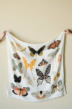 Butterfly Collector Swaddle Swaddles La Vie Bien Butterfly Collector Swaddle