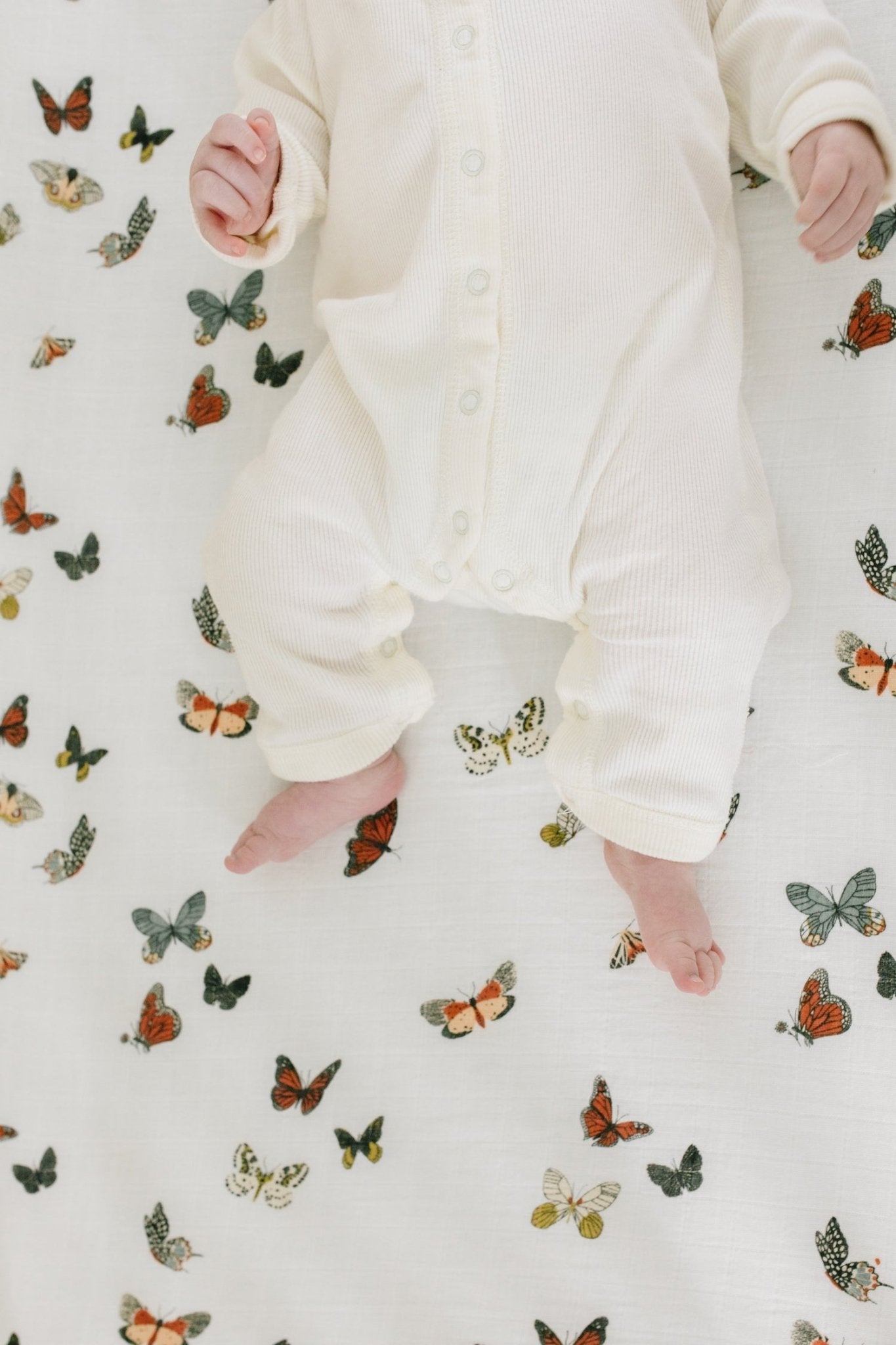 Butterfly Migration Crib Sheet Crib Sheets La Vie Bien Butterfly Migration Crib Sheet