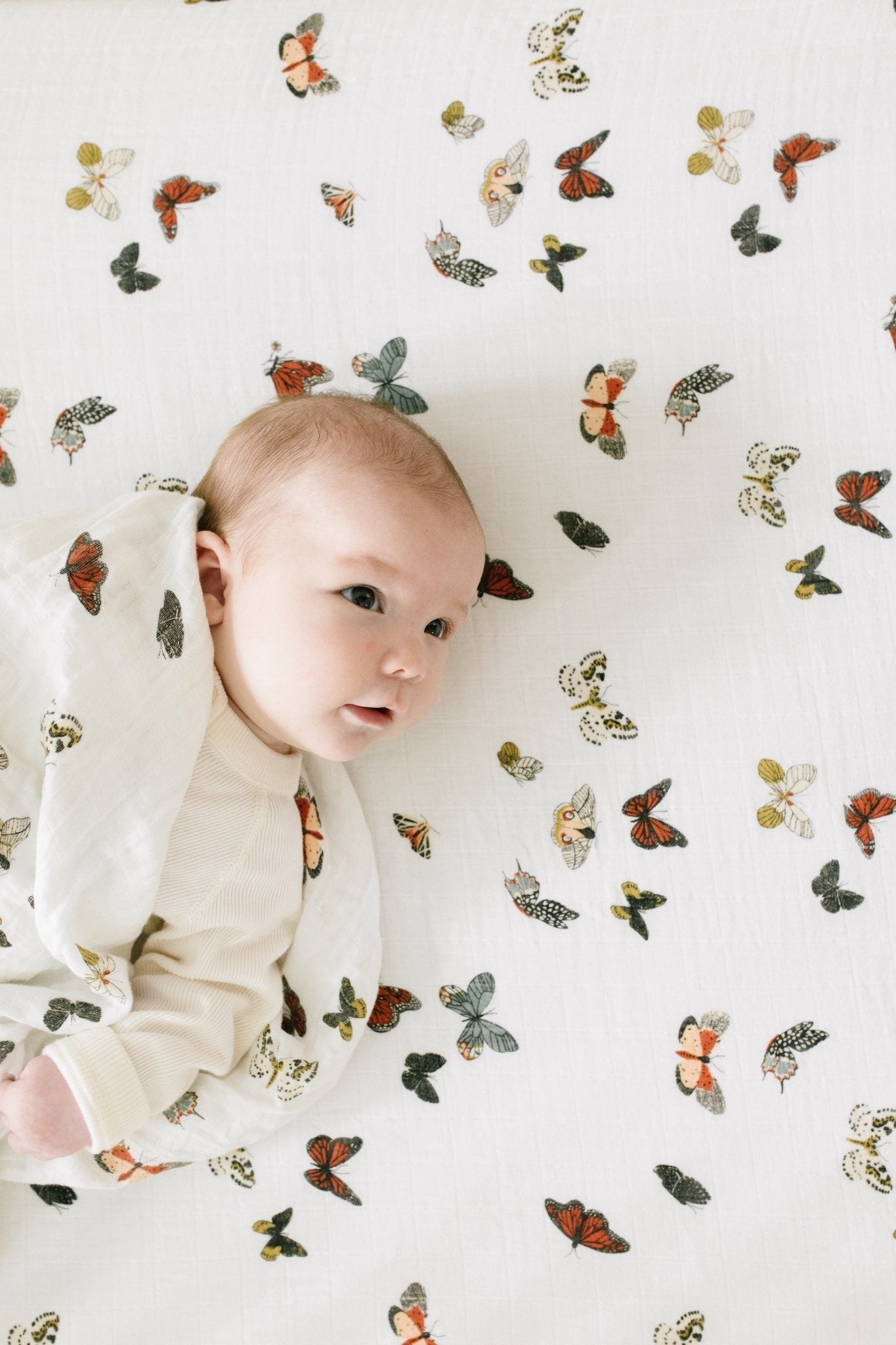 Butterfly Migration Crib Sheet Crib Sheets La Vie Bien Butterfly Migration Crib Sheet