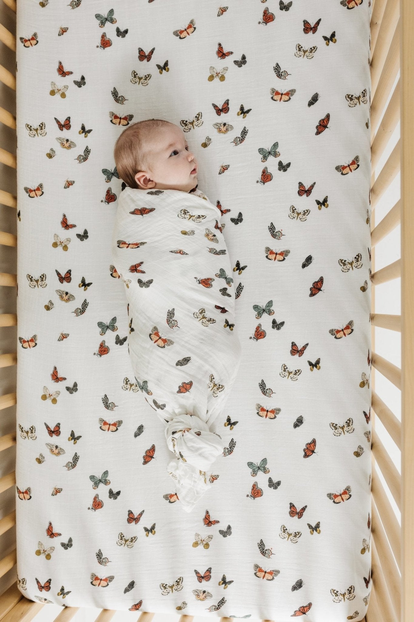Butterfly Migration Crib Sheet Crib Sheets La Vie Bien Butterfly Migration Crib Sheet