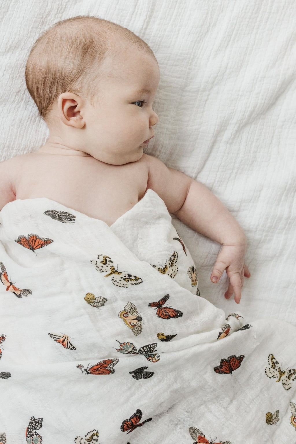 Butterfly Migration Swaddle Swaddles La Vie Bien Butterfly Migration Swaddle