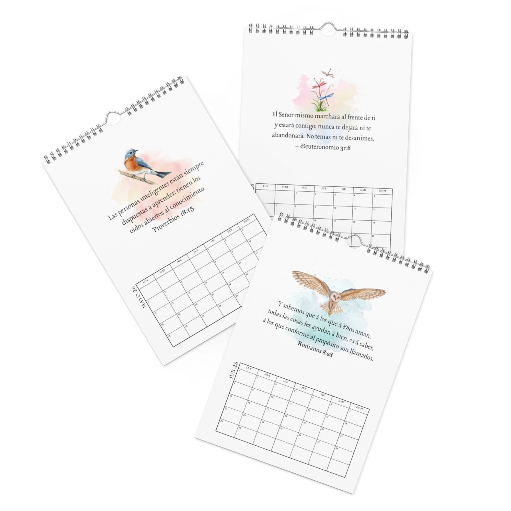 Calendario versículos de la Biblia - Wall calendar (2026) Spanish/Espanol by La Vie Bien