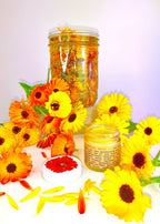 Calendula Balm La Vie Bien Calendula Balm