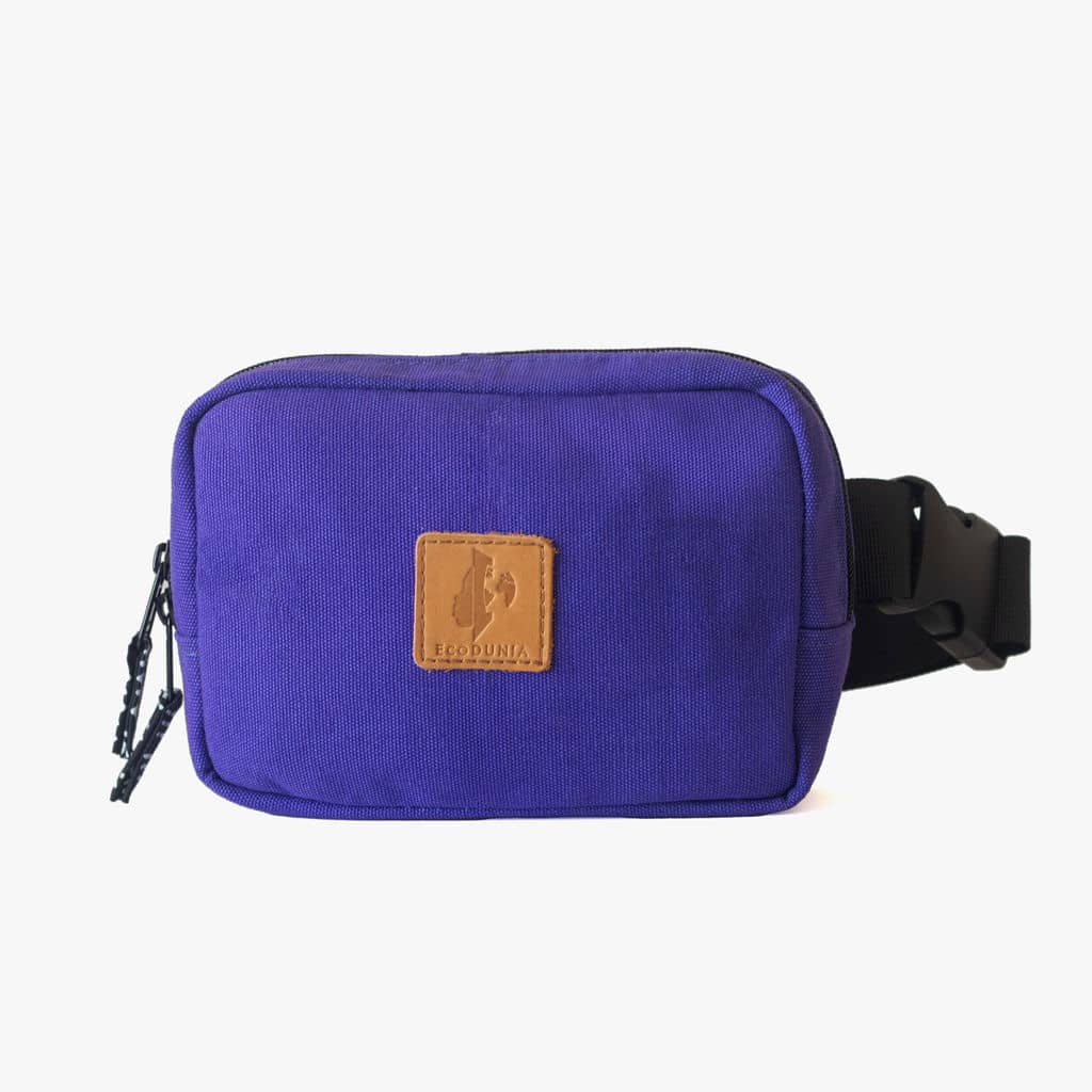 Canvas Crossbody Belt Bag Pouch, The Everywhere Belt Bag Belt Bag La Vie Bien Canvas Crossbody Belt Bag Pouch, The Everywhere Belt Bag