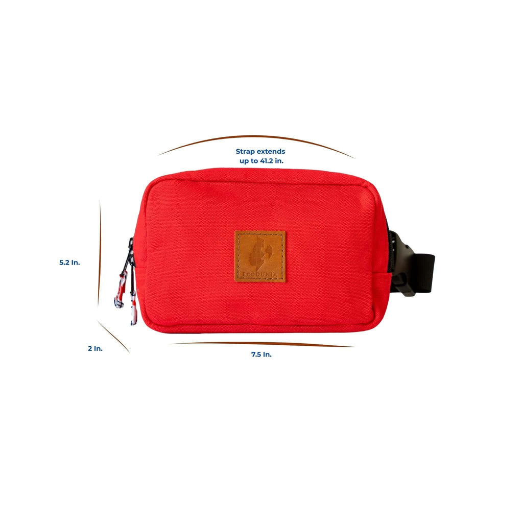 Canvas Crossbody Belt Bag Pouch, The Everywhere Belt Bag Fanny Packs La Vie Bien Canvas Crossbody Belt Bag Pouch, The Everywhere Belt Bag