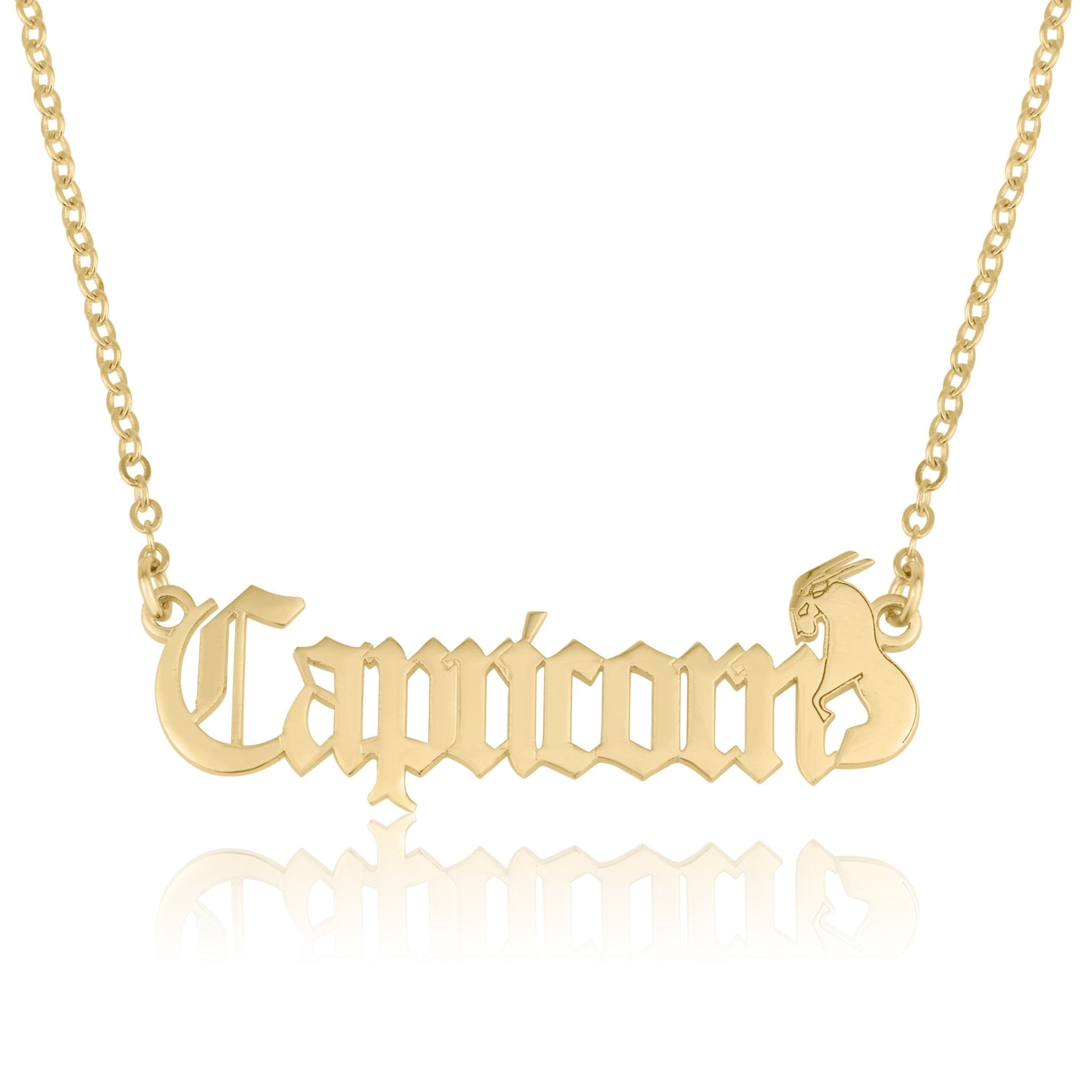 Capricorn Symbol Necklace La Vie Bien Capricorn Symbol Necklace