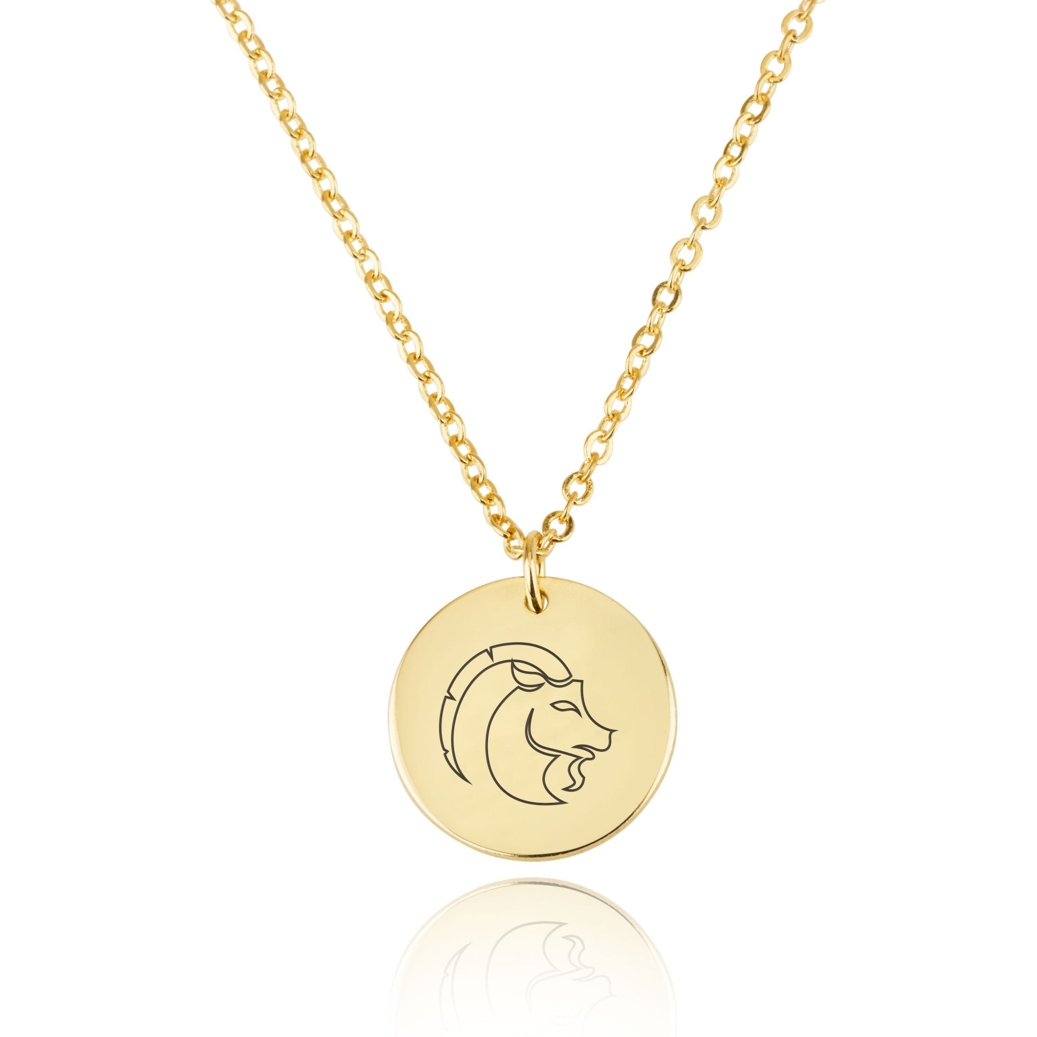 Capricorn Zodiac Disk Necklace La Vie Bien Capricorn Zodiac Disk Necklace