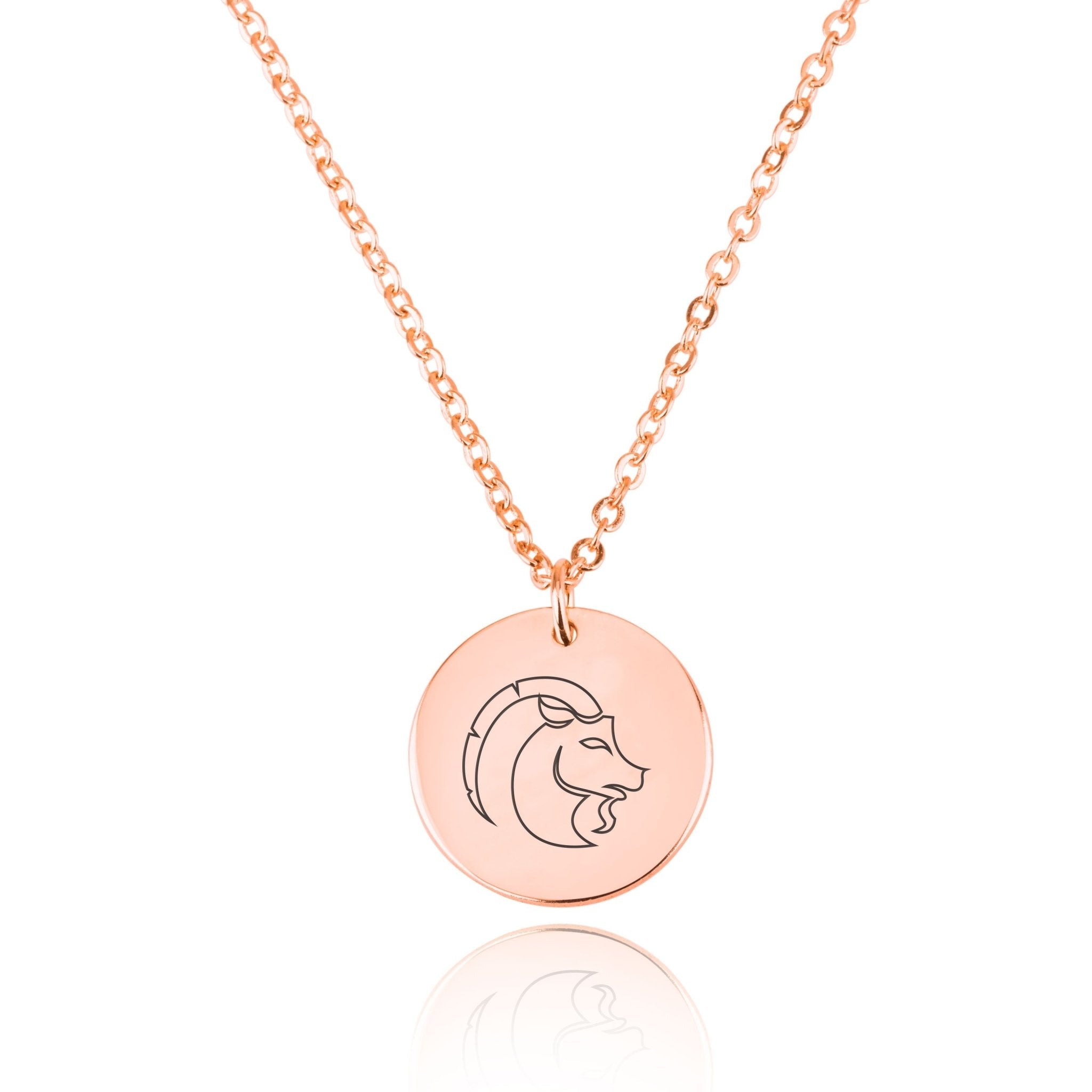 Capricorn Zodiac Disk Necklace La Vie Bien Capricorn Zodiac Disk Necklace