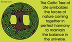 Caroline Tree of Life Ring in Sterling Silver Ring La Vie Bien Caroline Tree of Life Ring in Sterling Silver