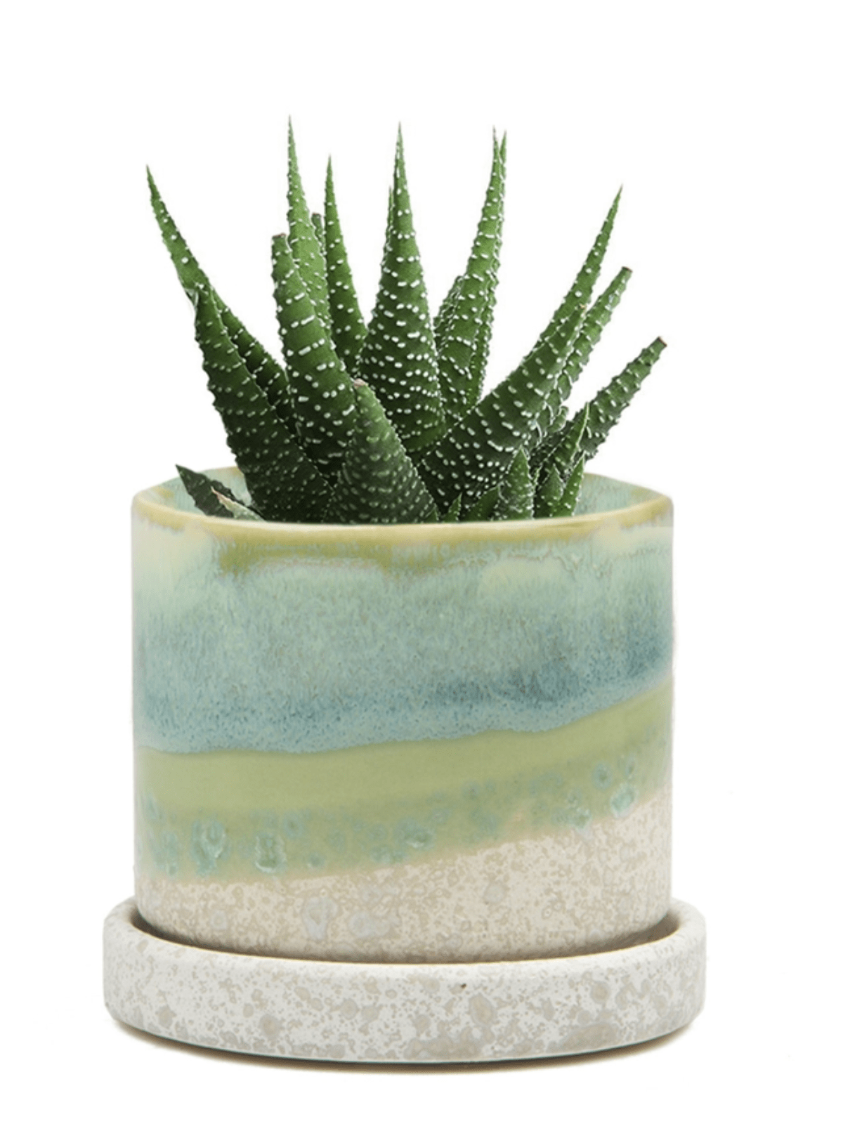 Cement Green Ceramic Plant Pot and Saucer
