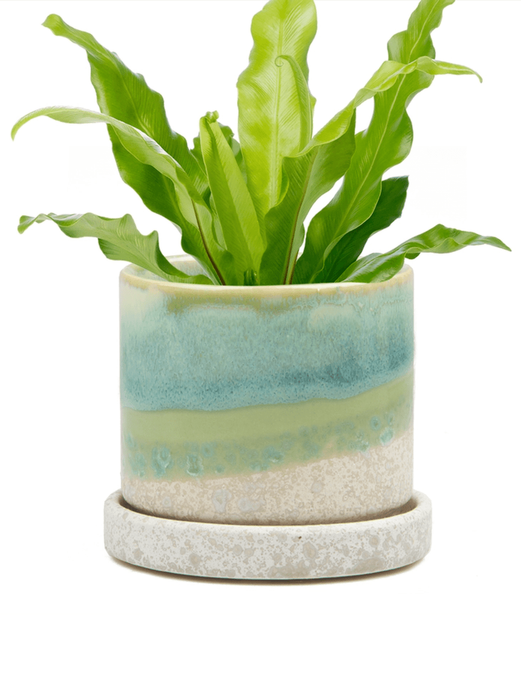 Cement Green Ceramic Plant Pot and Saucer
