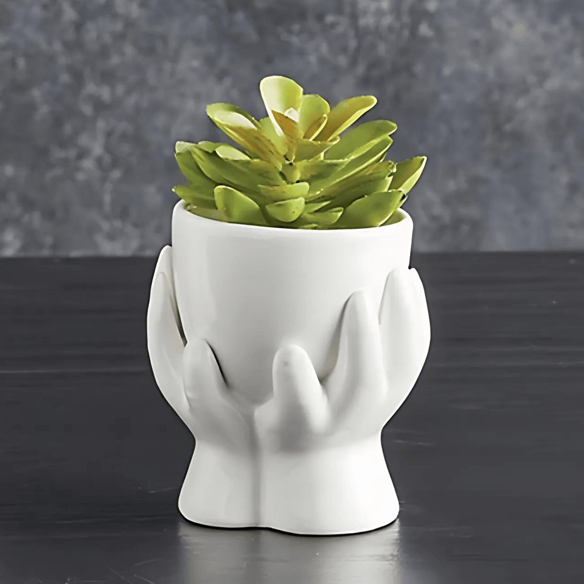 Ceramic Hands Mini Planter | Decorative Mini Aesthetic Plant Pot for Succulents & Flowers Pots & Planters La Vie Bien Ceramic Hands Mini Planter | Decorative Mini Aesthetic Plant Pot for Succulents & Flowers