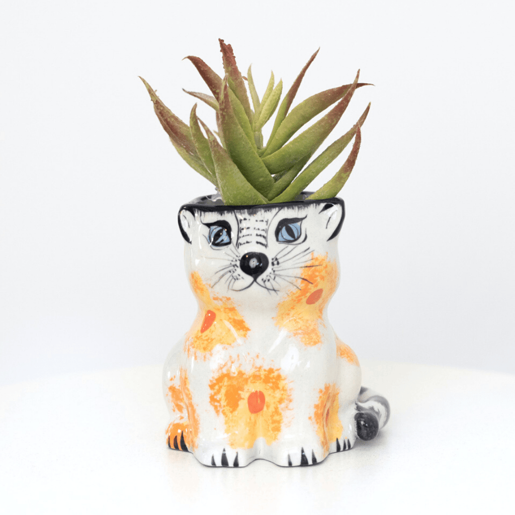Ceramic Kitty Planter Home La Vie Bien Ceramic Kitty Planter