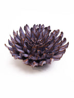 Ceramic Purple Dahlia by Ash & Rose