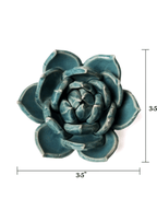 Ceramic Small Teal Succulent - Echeveria by Ash & Rose