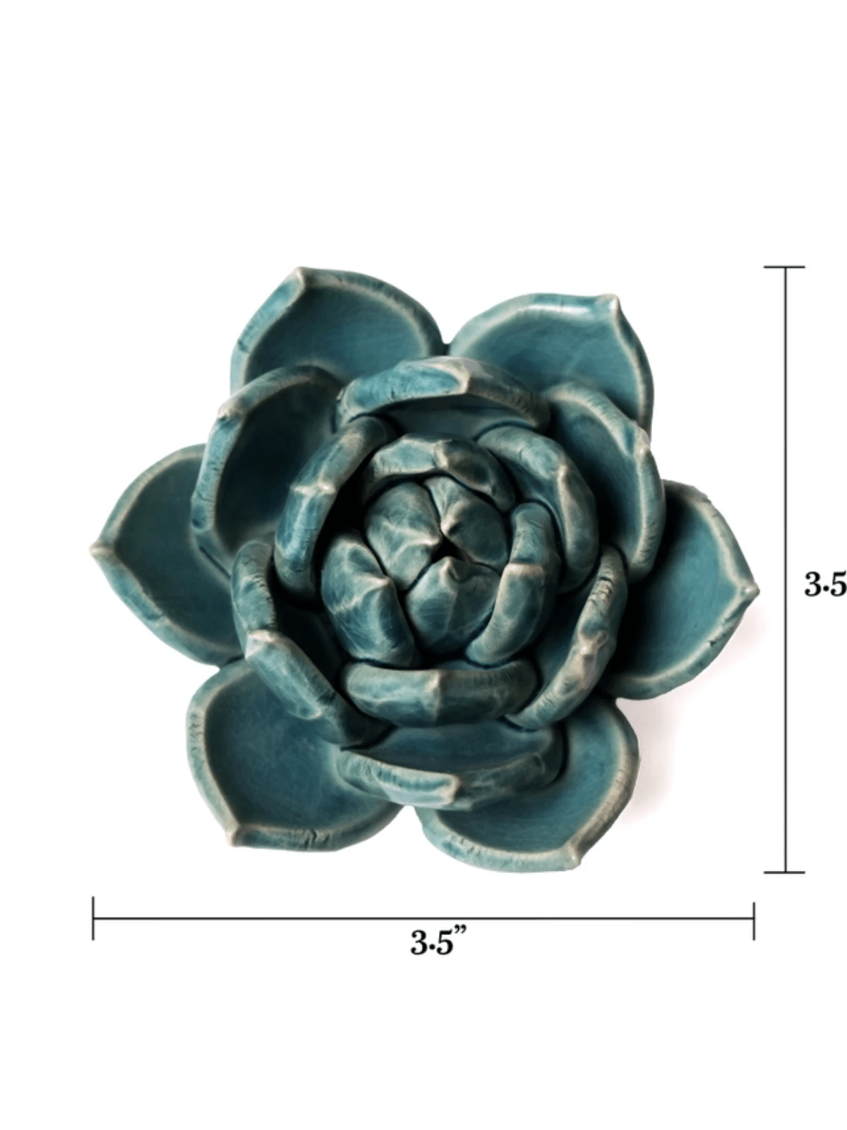 Ceramic Small Teal Succulent - Echeveria by Ash & Rose