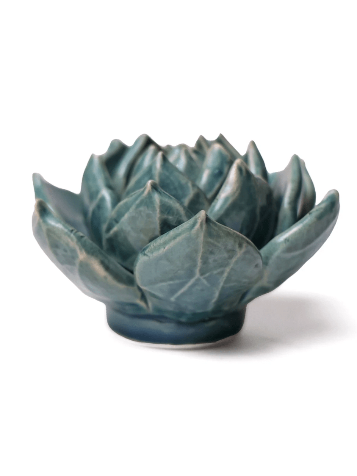 Ceramic Small Teal Succulent - Echeveria by Ash & Rose