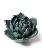 Ceramic Small Teal Succulent - Echeveria by Ash & Rose