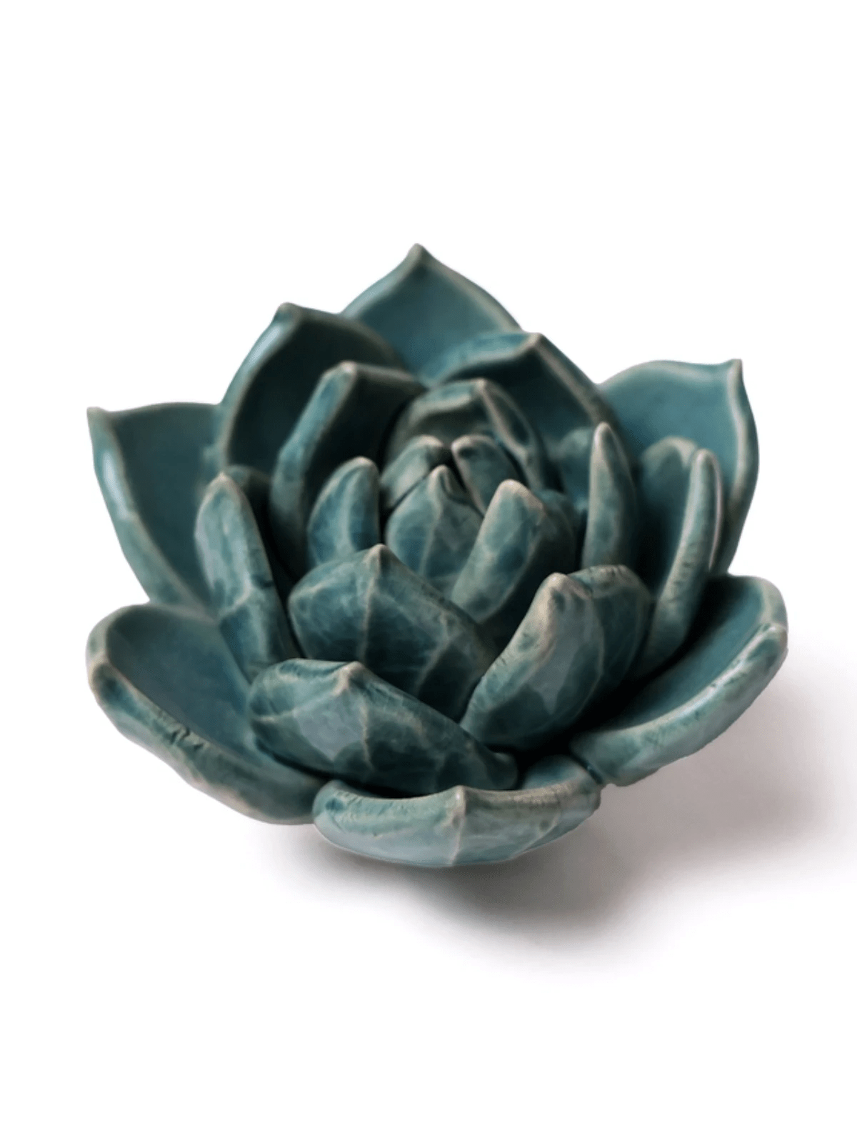 Ceramic Small Teal Succulent - Echeveria by Ash & Rose