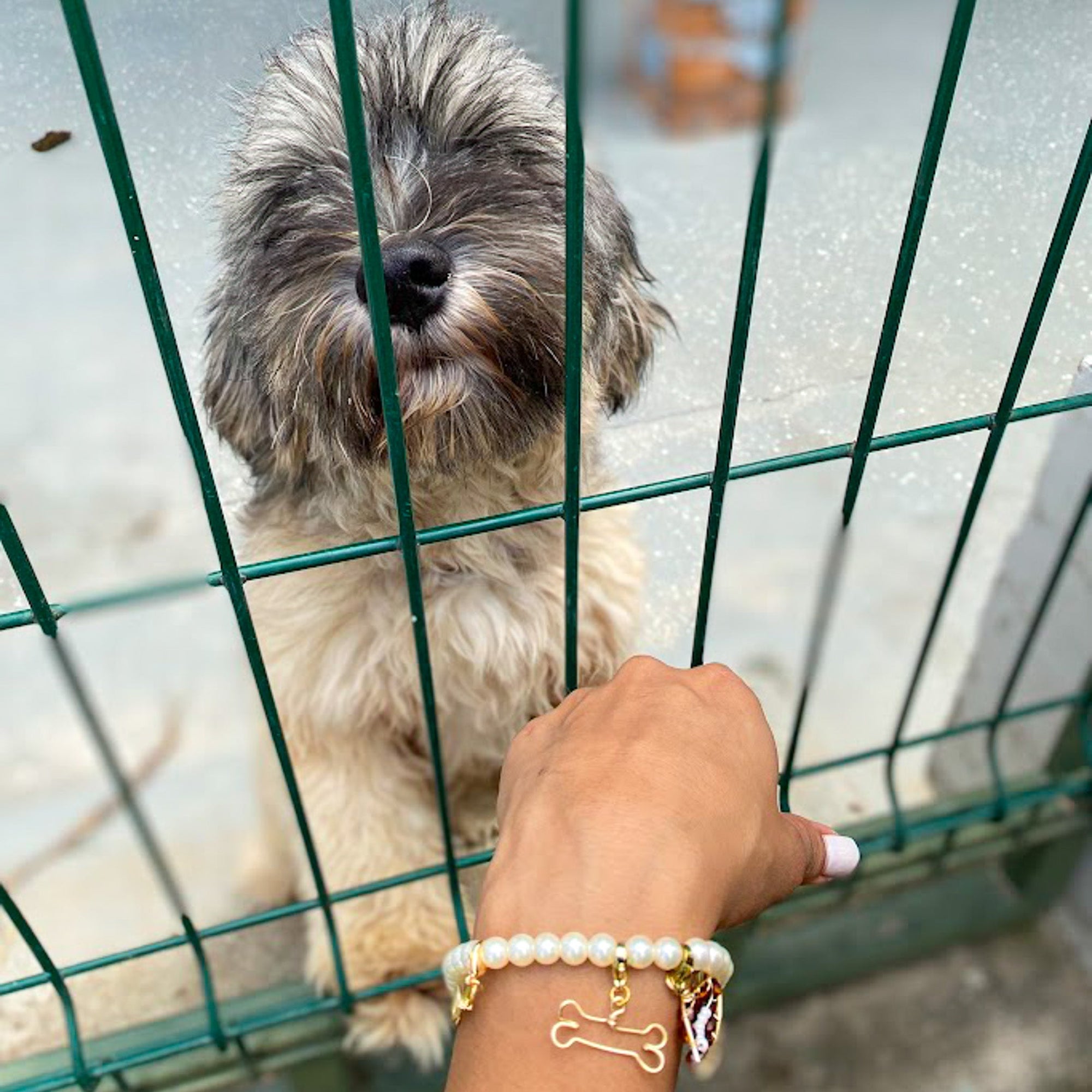 Charming bracelet