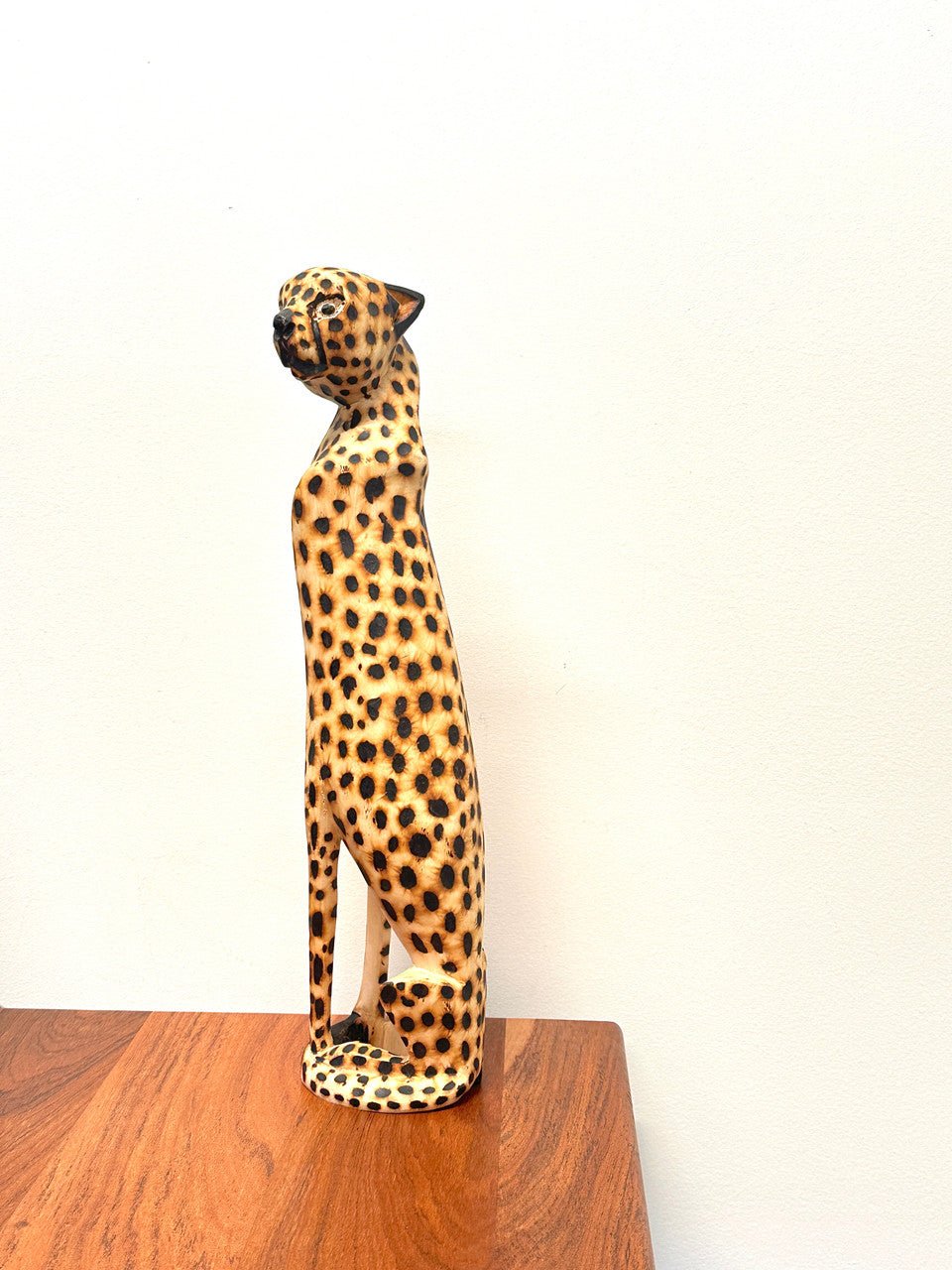 Cheetah Sitting La Vie Bien Cheetah Sitting