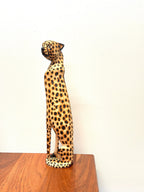 Cheetah Sitting La Vie Bien Cheetah Sitting