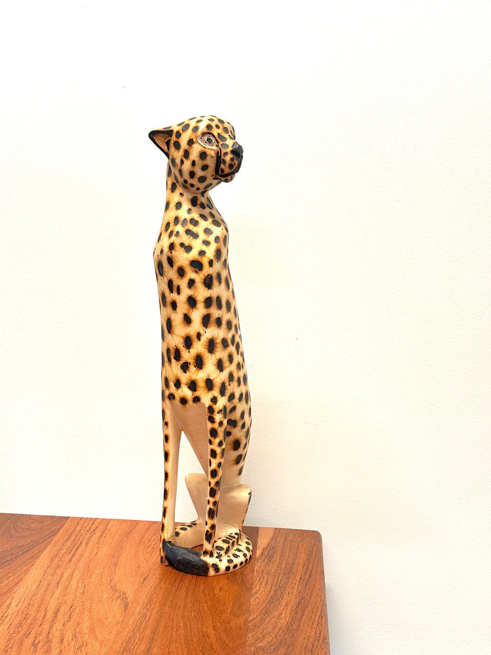 Cheetah Sitting La Vie Bien Cheetah Sitting