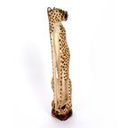 Cheetah Sitting La Vie Bien Cheetah Sitting