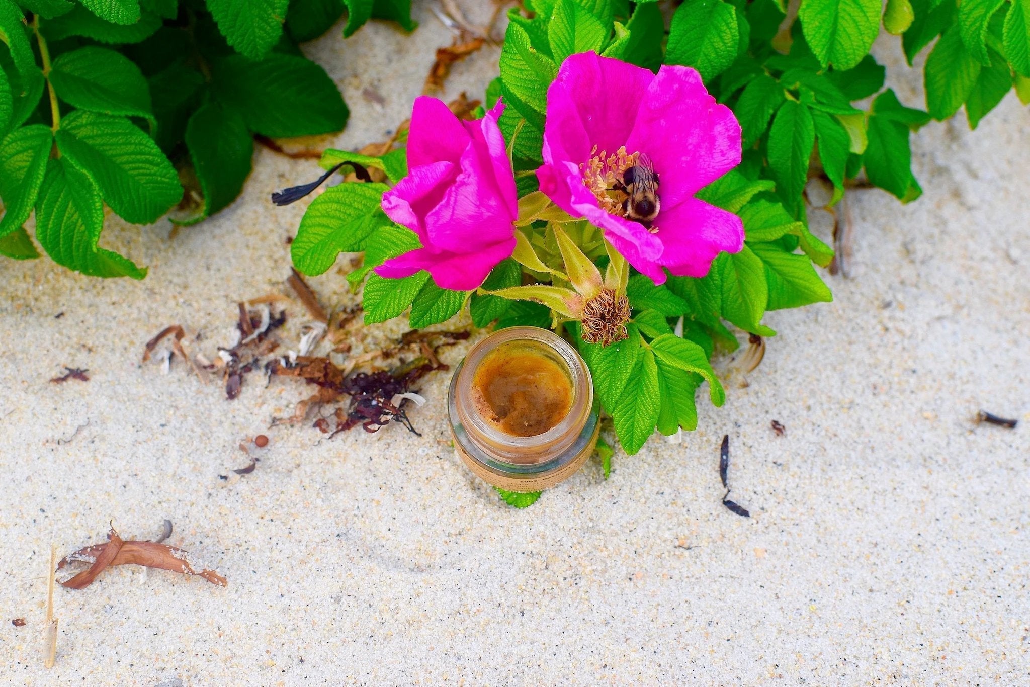 Cinnamon Lip Plumper by plant makeup