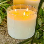 Citronella Candle – 16 oz 3-Wick Outdoor Mosquito Repellent with Essential Oils -- by Moon Water Apothecary! by Moon Water Apothecary