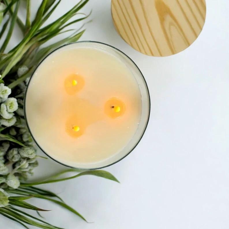 Citronella Candle – 16 oz 3-Wick Outdoor Mosquito Repellent with Essential Oils -- by Moon Water Apothecary! by Moon Water Apothecary
