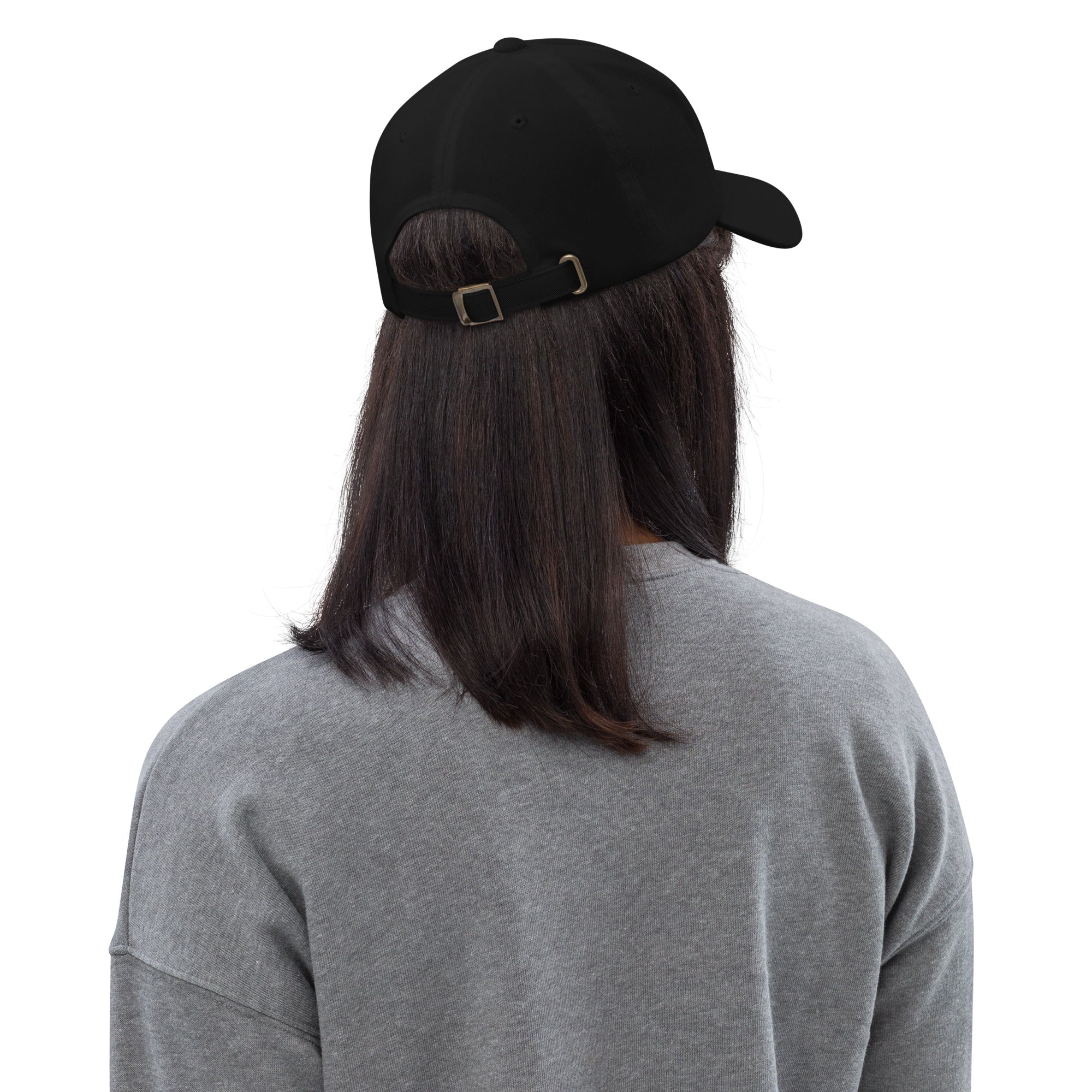 Ann Arbor baseball hat