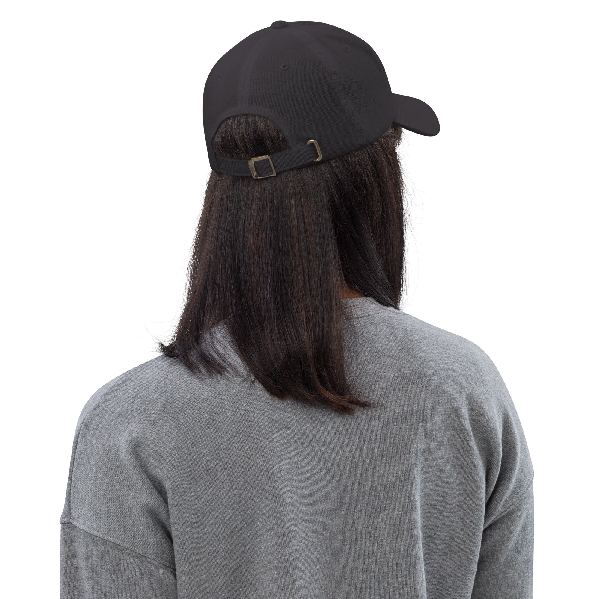 Ann Arbor baseball hat