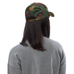 Ann Arbor baseball hat by La Vie Bien