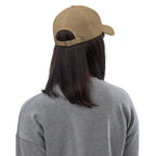 Ann Arbor baseball hat by La Vie Bien