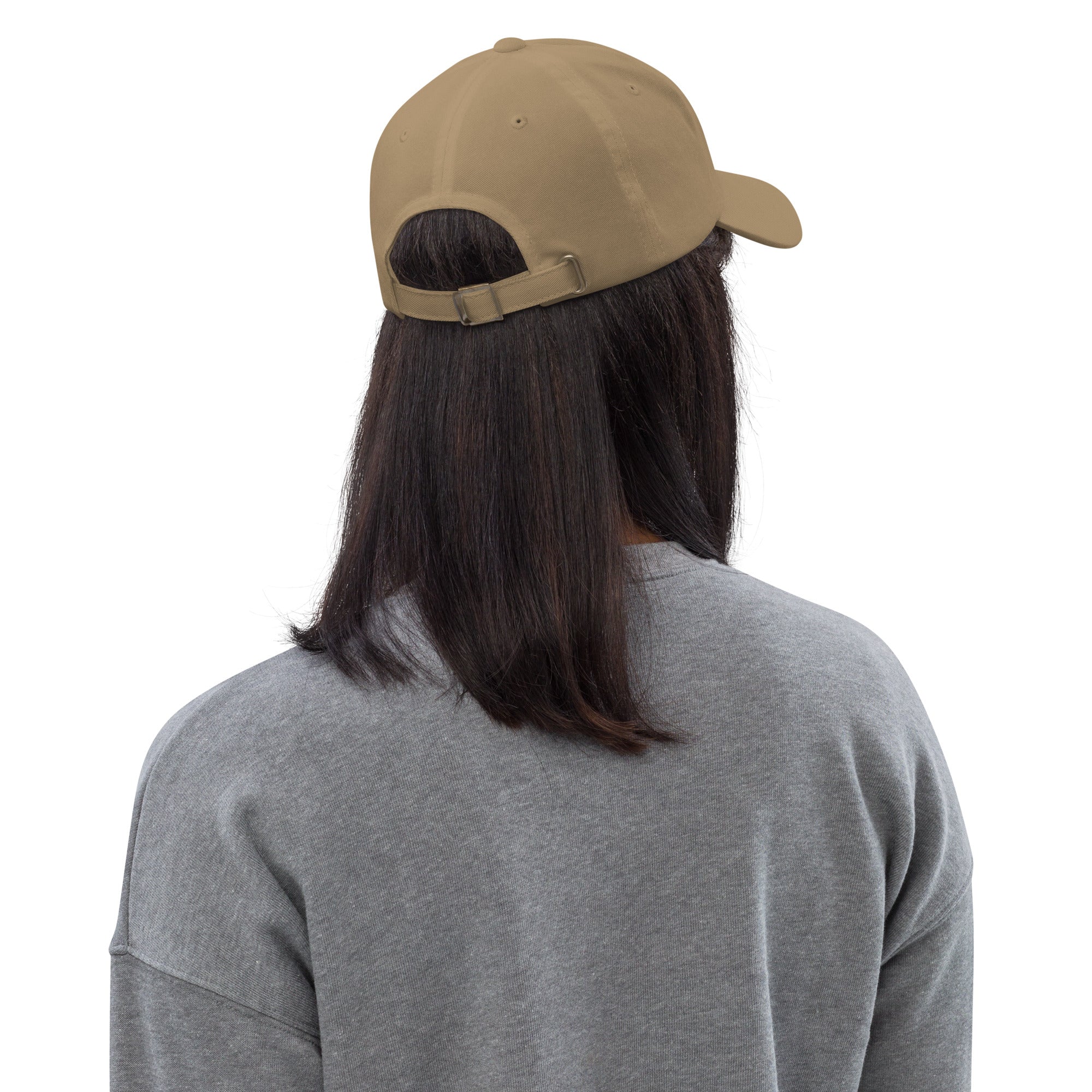Ann Arbor baseball hat