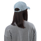 Ann Arbor baseball hat