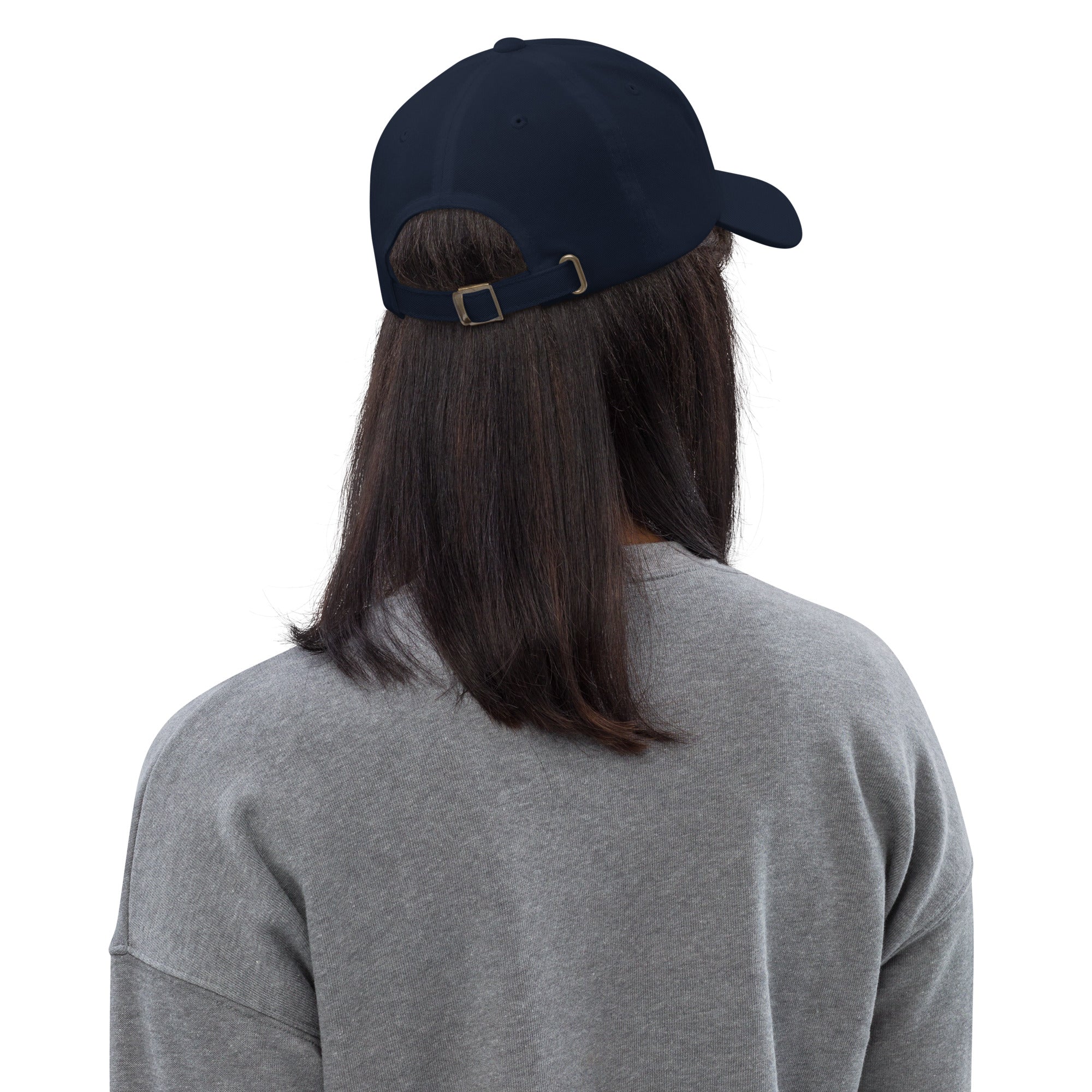 Ann Arbor baseball hat