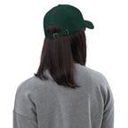Ann Arbor baseball hat by La Vie Bien