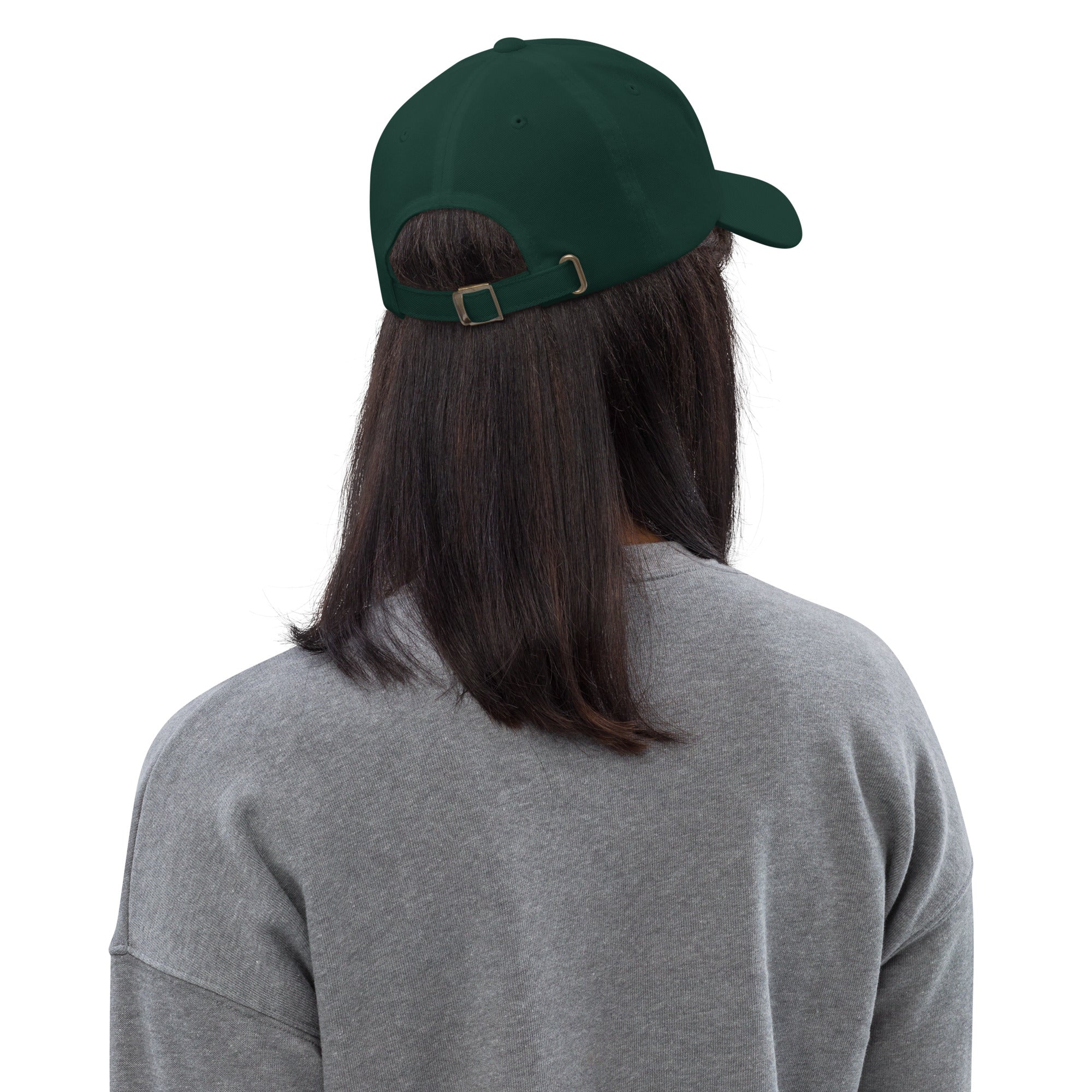 Ann Arbor baseball hat