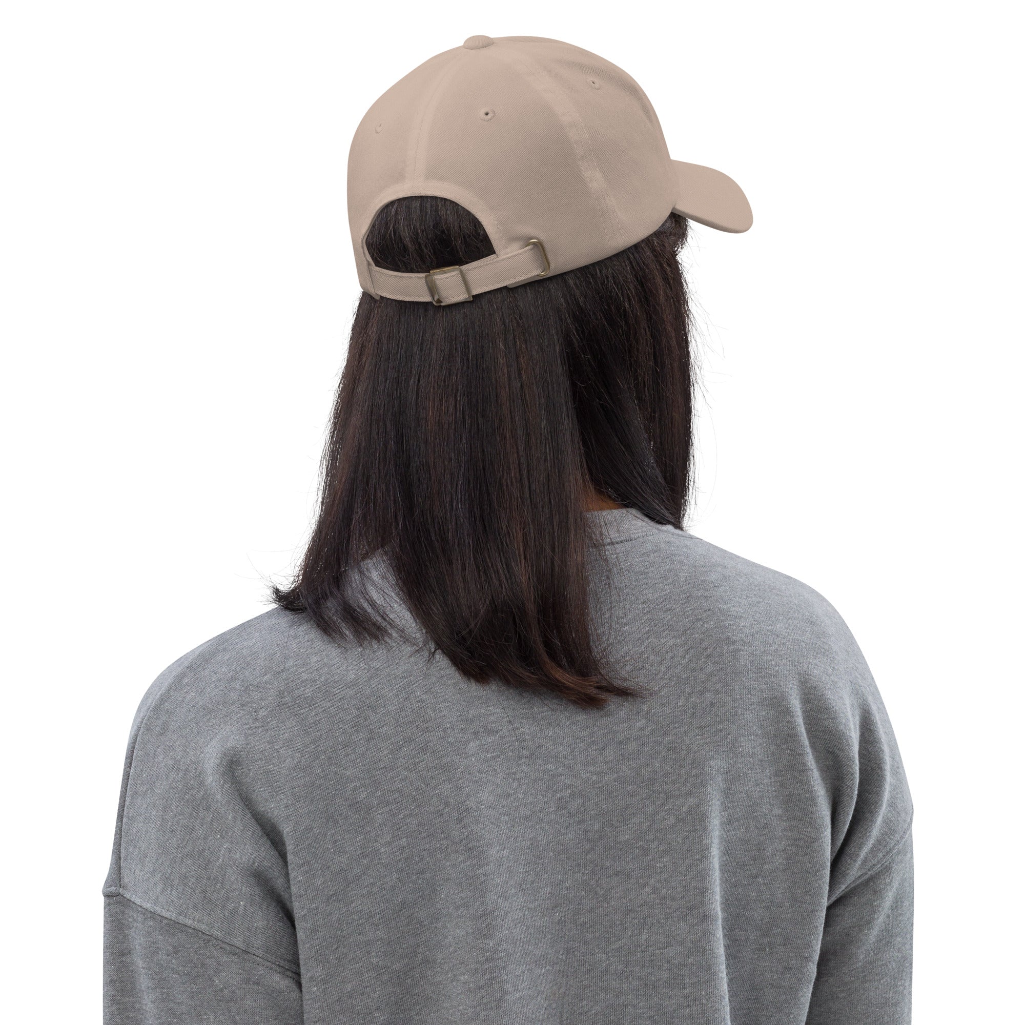 Ann Arbor baseball hat