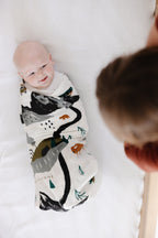 National Parks Swaddle