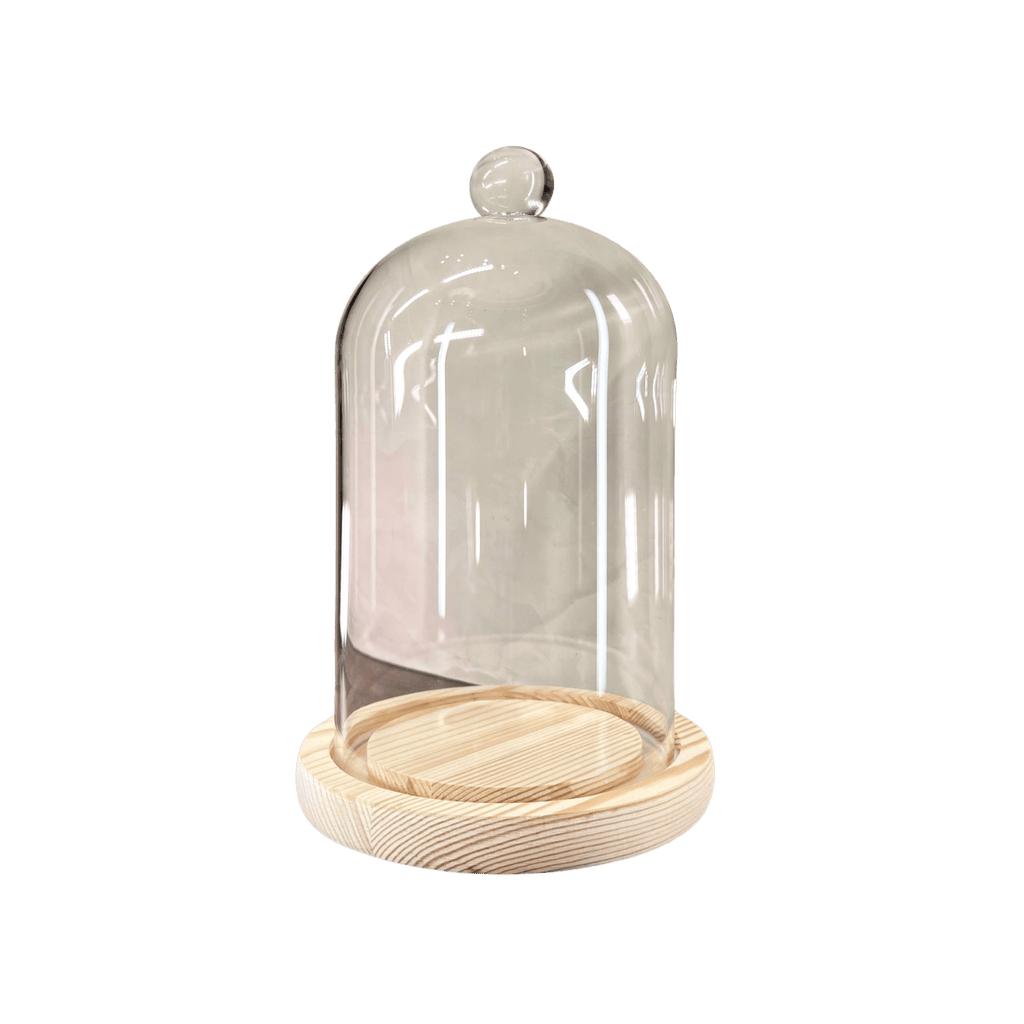 Cloche Glass Bell