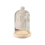 Cloche Glass Bell