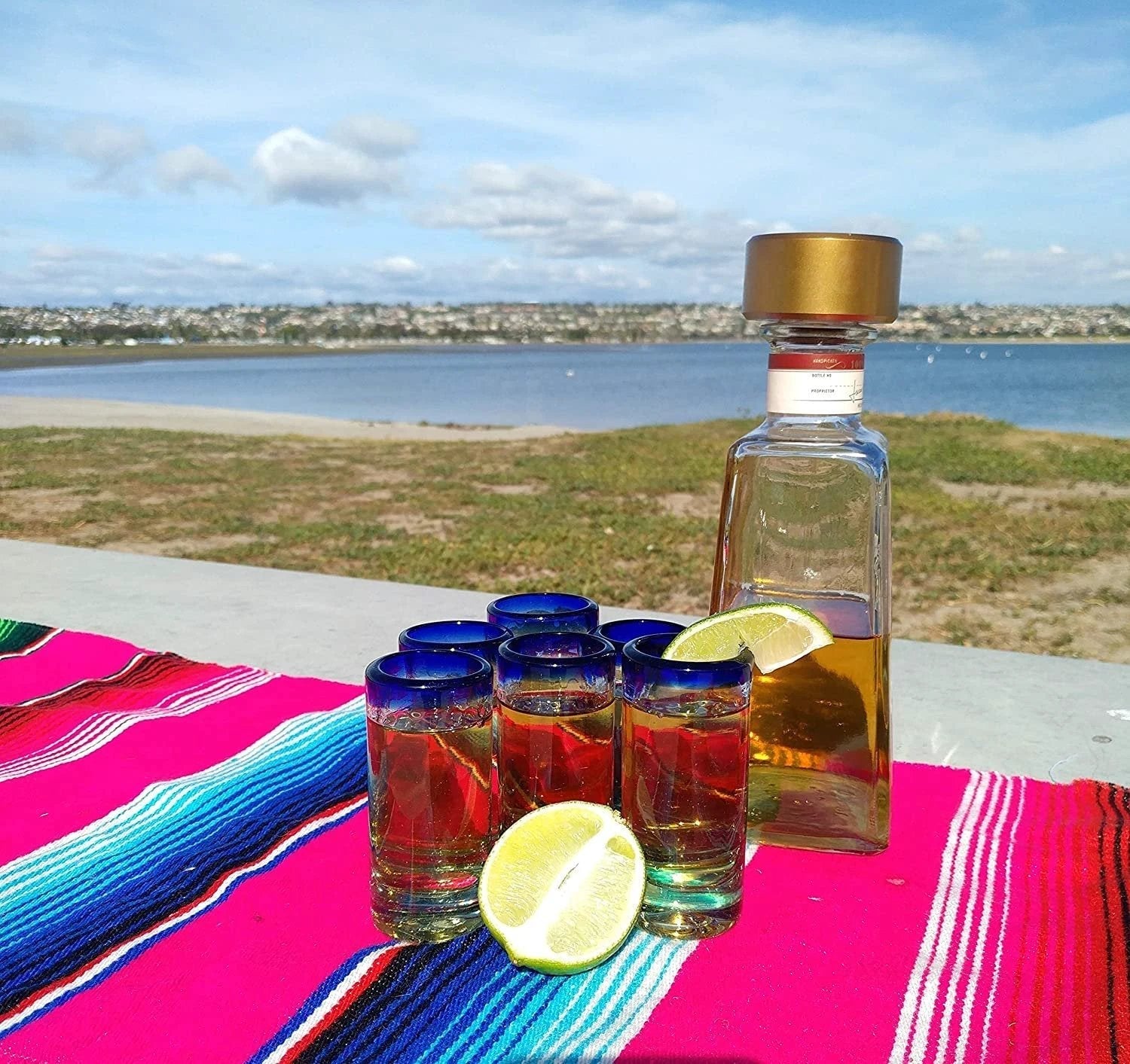 Cobalt Blue Rim Tequila Shot Glasses - Set of 6 (2 oz each) by Dos Sueños