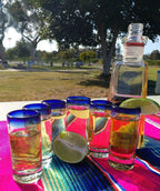 Cobalt Blue Rim Tequila Shot Glasses - Set of 6 (2 oz each) by Dos Sueños
